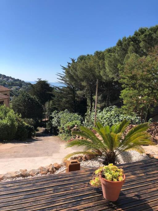 Maison St Clair Vue Mer Sete Luaran gambar